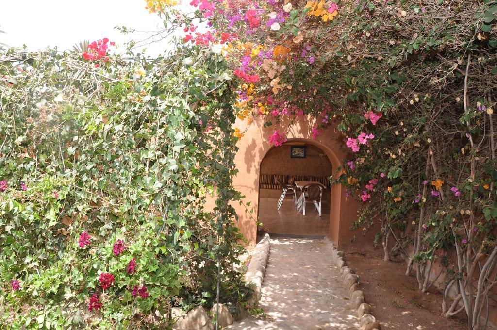 La Palmeraie De Massa Zaouit Massa Exterior foto